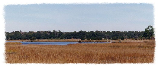  Marshes of Glynn 